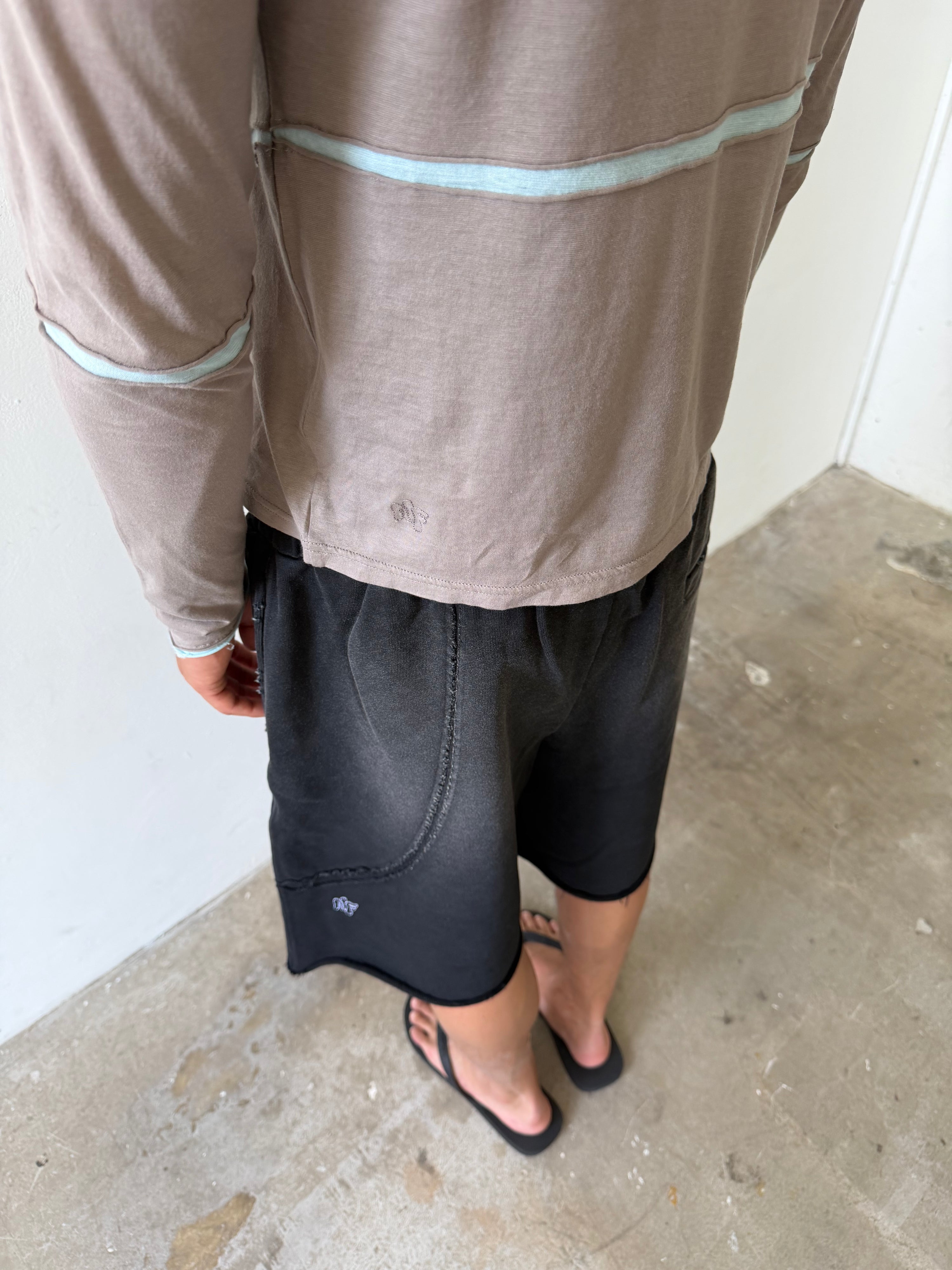 INSERT V LONGSLEEVE